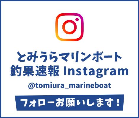 とみうらマリンボート釣果速報インスタグラム